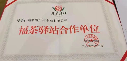 福茶驛站攜手合作企業，借僑優勢揚帆出海，共謀茶業新篇章